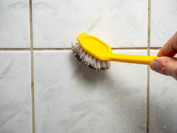 Best Professional Mold Removal  in Exandria, AL