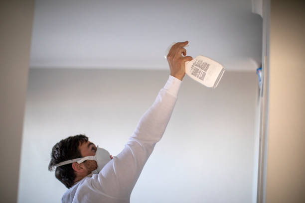 Best Mold Cleaning Services  in Exandria, AL