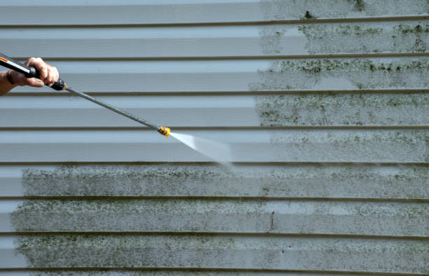 Best Local Mold Removal Service  in Exandria, AL